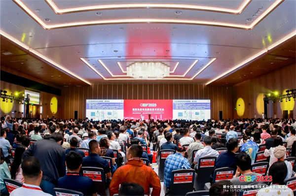 【CIBF2024】中国化学与物理电源行业协会秘书长王泽深：“这场盛会恰逢其时”